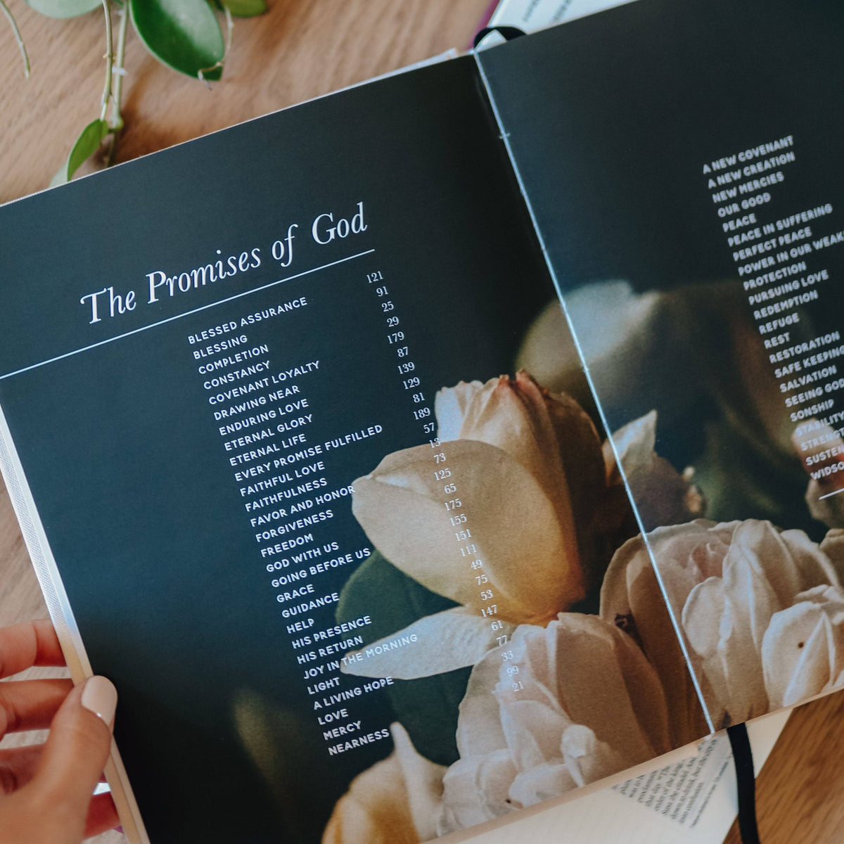 Open book "The Promises of God" with dark teal cover and table of contents displayed, surrounded by cream and blush roses and green foliage on wooden surface.