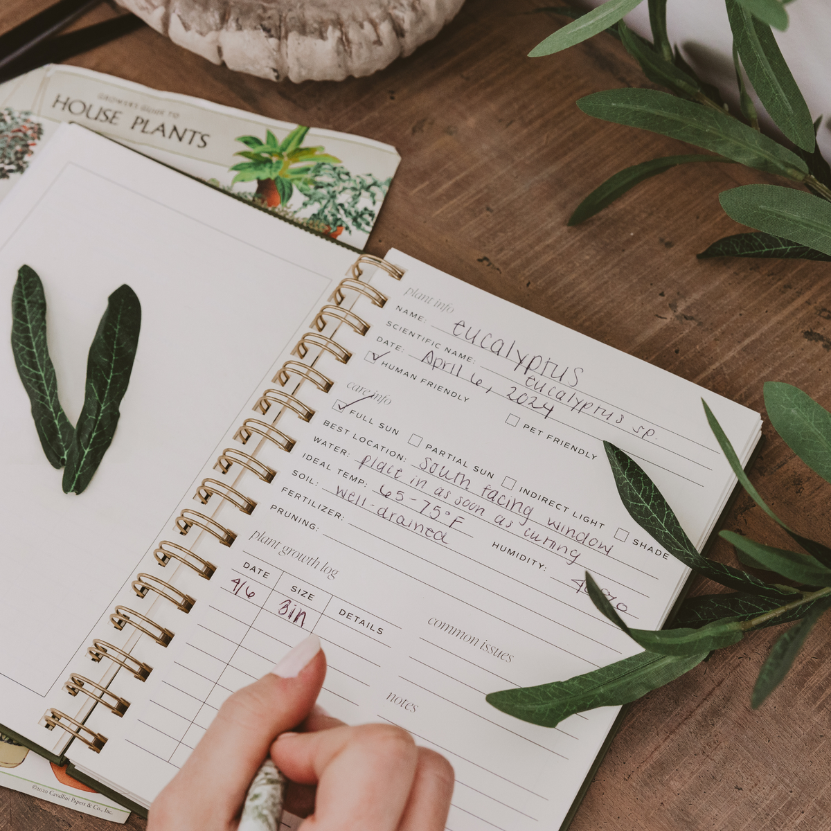 Spiral-bound plant journal with handwritten care notes and tracking entries, surrounded by fresh green plant leaves on a wooden surface.