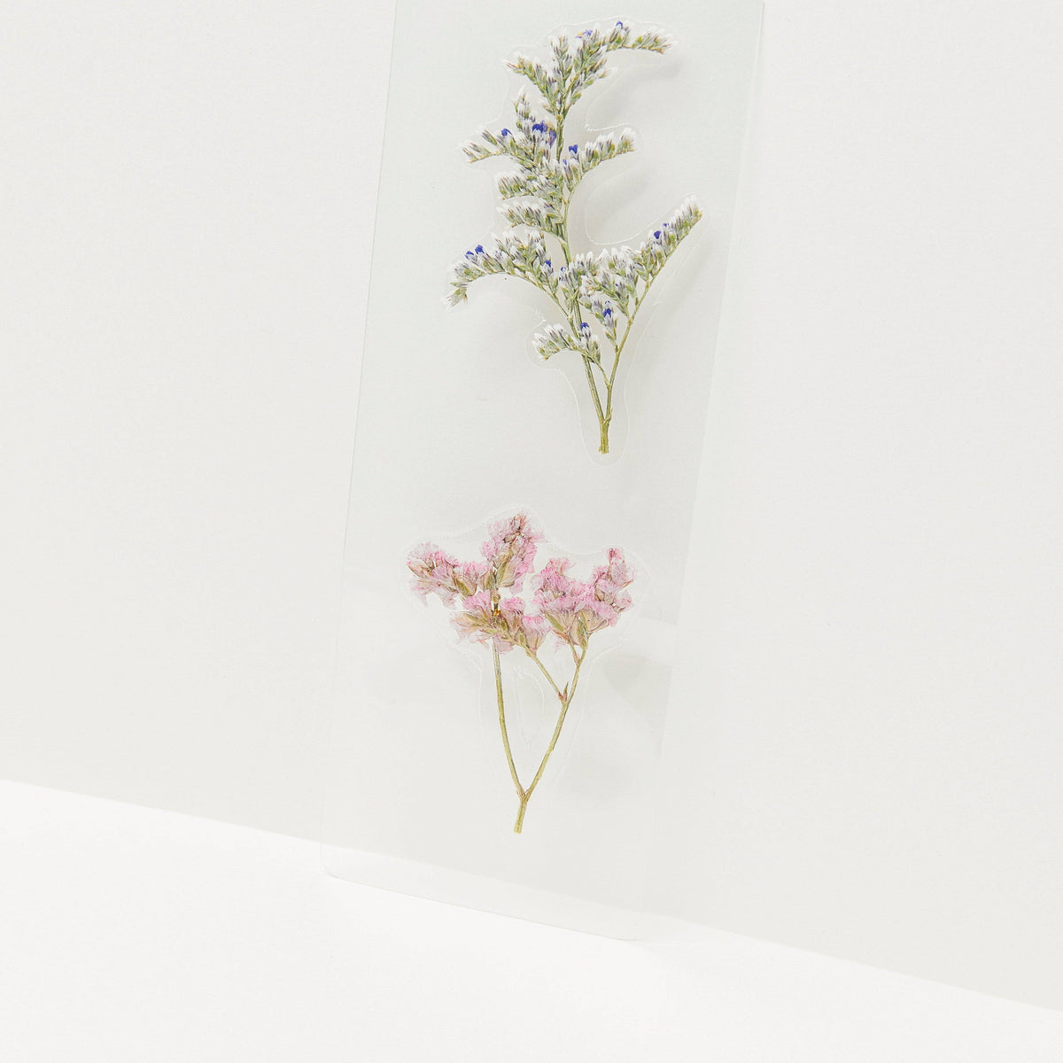 Two pressed flowers on cream bookmark—purple delicate blooms on thin stem above pink clustered flowers, botanical illustration style