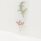 Two pressed flowers on cream bookmark—purple delicate blooms on thin stem above pink clustered flowers, botanical illustration style