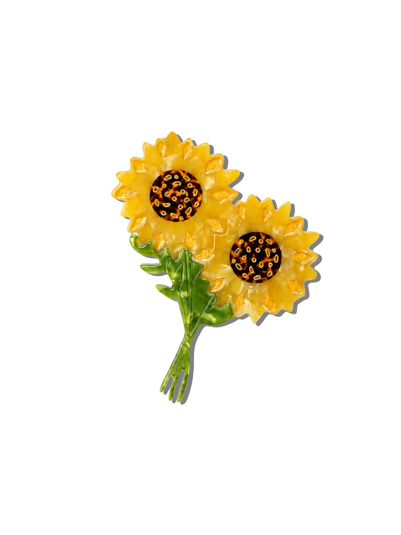 Claw Hair Clip