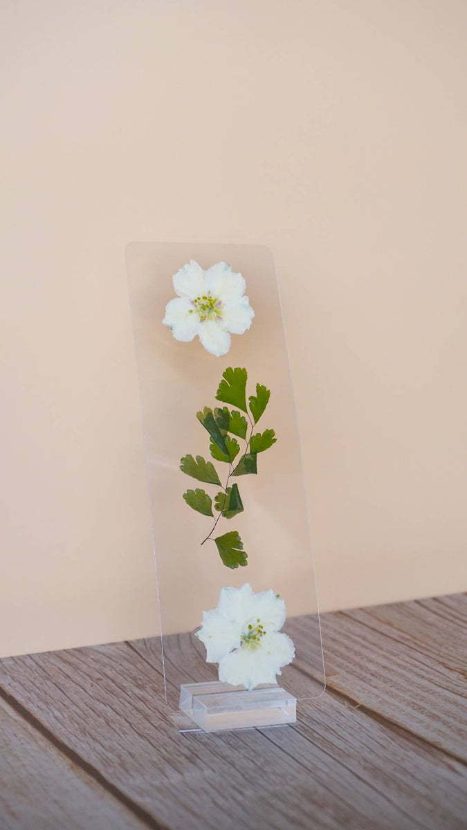 Transparent bookmark featuring white pressed flowers with yellow centers and green foliage