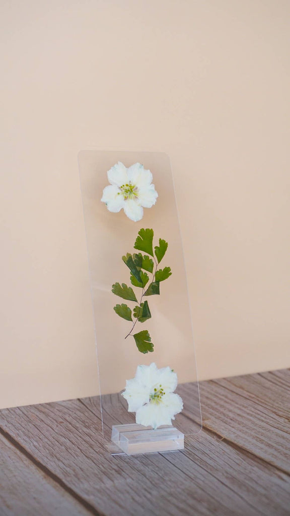 Transparent bookmark featuring white pressed flowers with yellow centers and green foliage