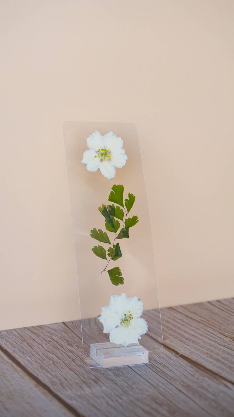 Transparent bookmark featuring white pressed flowers with yellow centers and green foliage