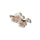 Claw Hair Clip