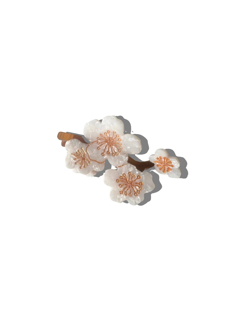 Claw Hair Clip