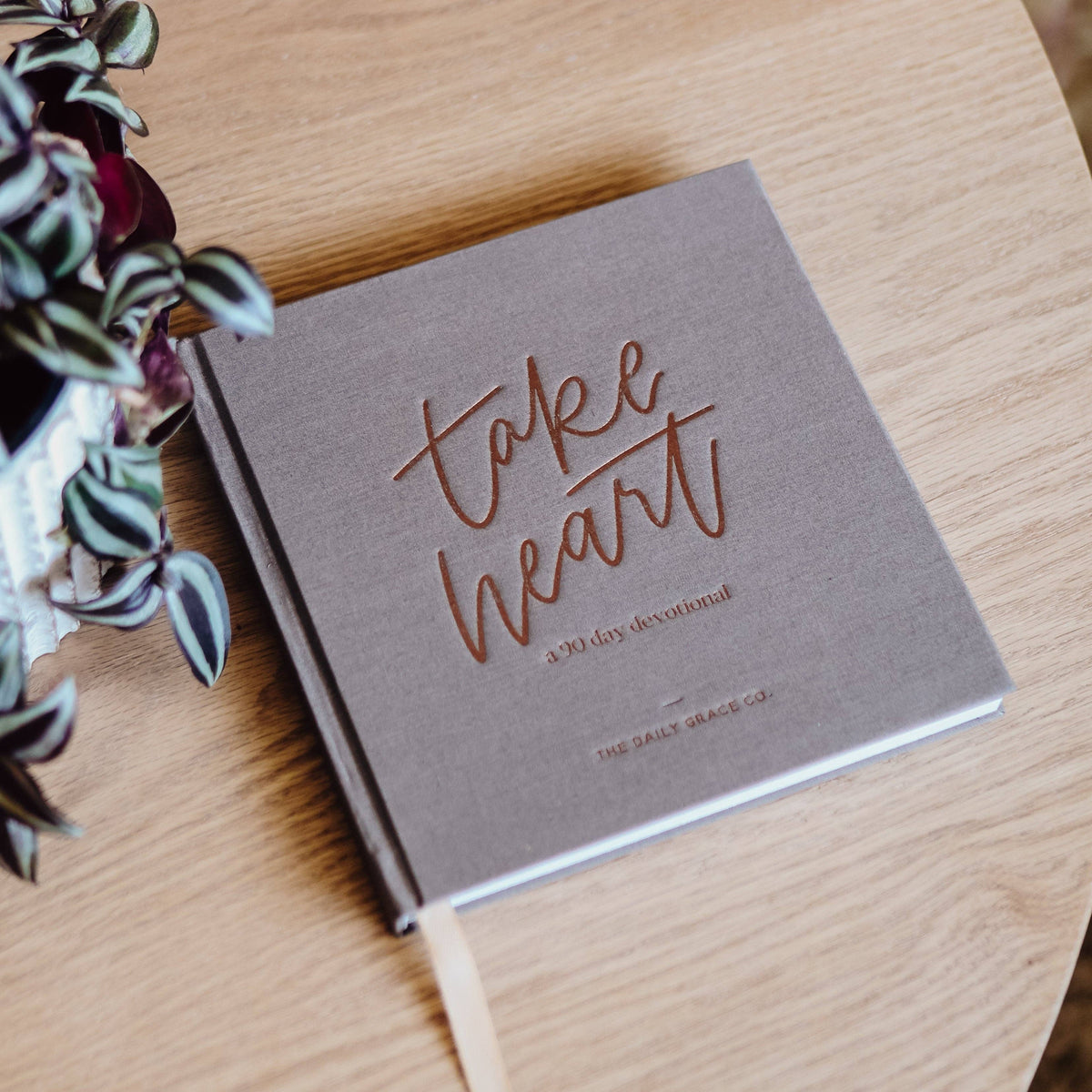 Take Heart 90-day devotional with rose-gold foil lettering on gray hardcover, set on light wood beside striped foliage.