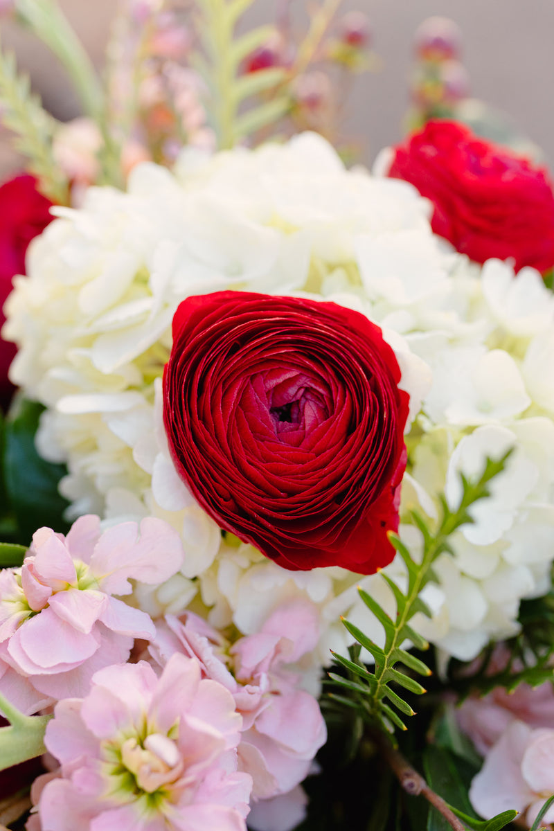 Arrangement of the Month (February)