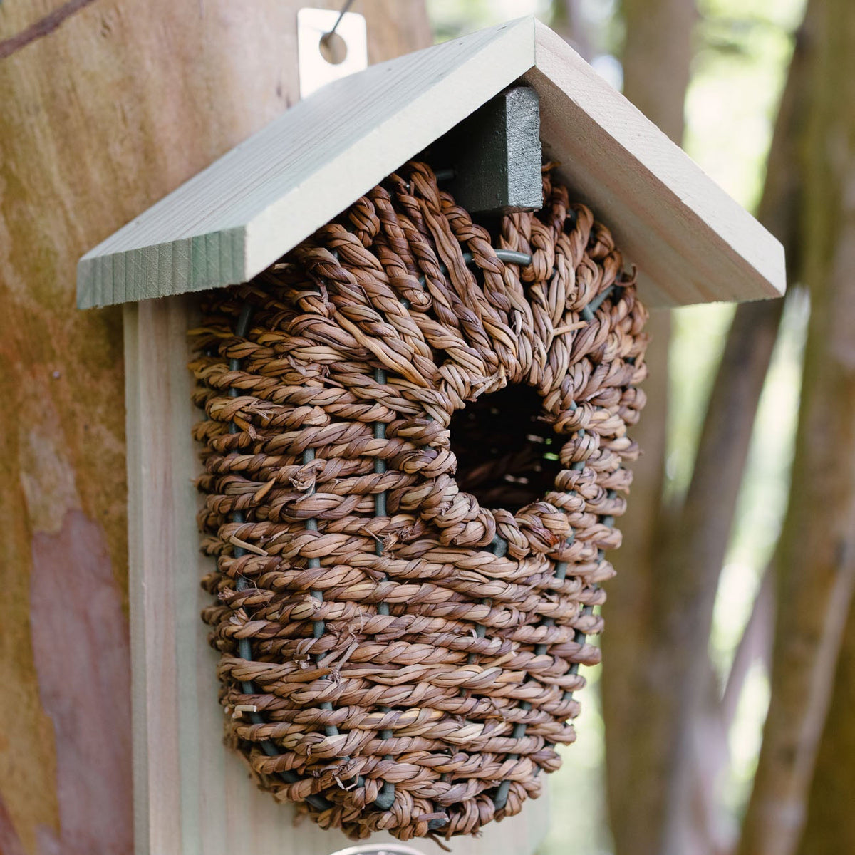 Wooden birdhouse with woven front panel attached to a tree