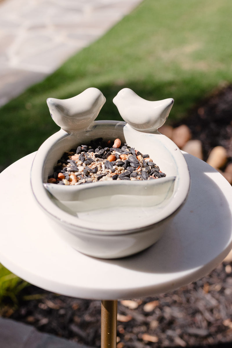 Ceramic Bird Bath/Feeder