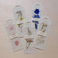 Five Page Petal floral bookmarks with pressed flowers—pink blossoms, blue petals, yellow botanical, delicate green herbs, and brown foliage—on cream cardstock with decorated headers.