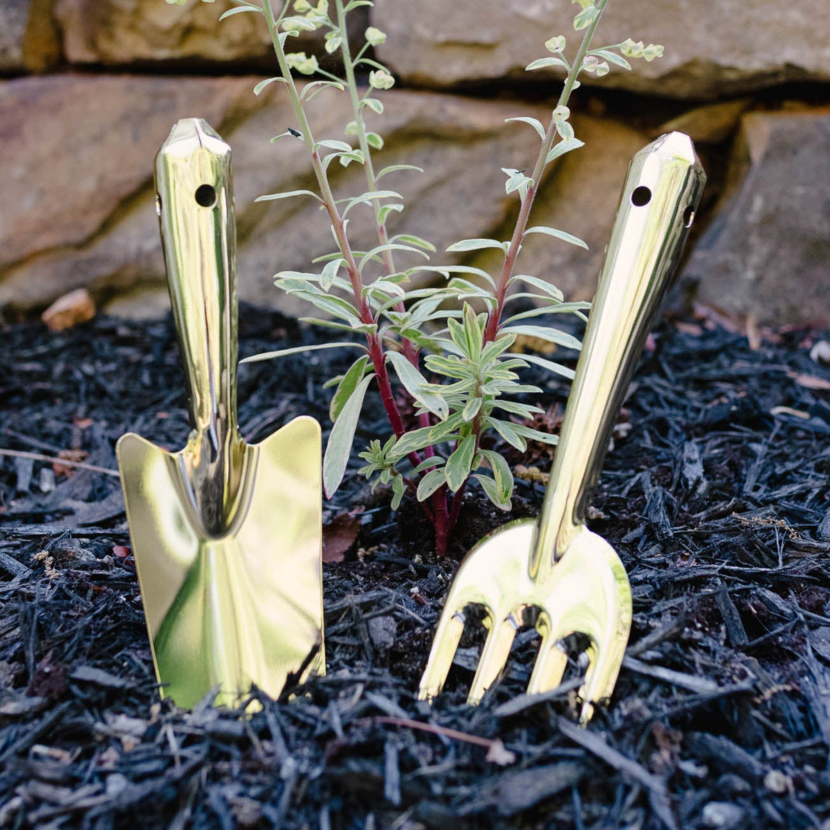 Gold-finish steel shovel and hand rake with long handles standing upright in dark mulch beside a small green plant.