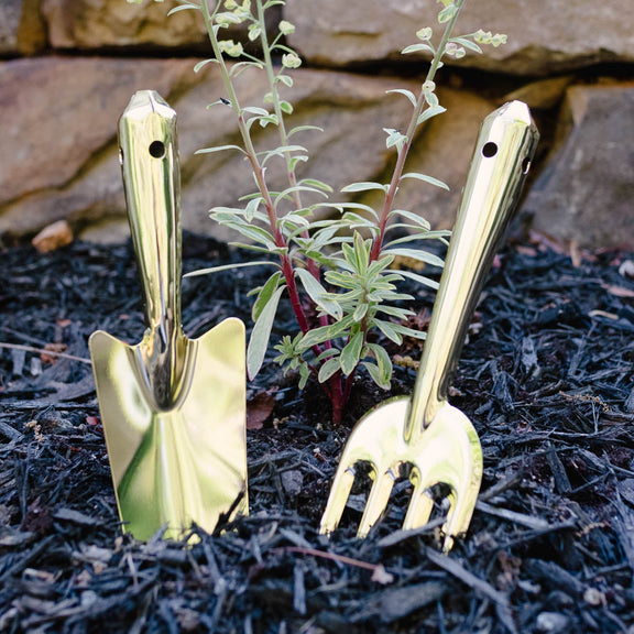 Gold-finish steel shovel and hand rake with long handles standing upright in dark mulch beside a small green plant.