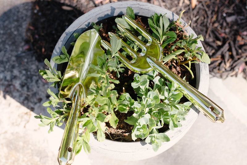 Steel hand rake with long handle resting on white pot of small green succulents and foliage plants, arranged on bare soil background