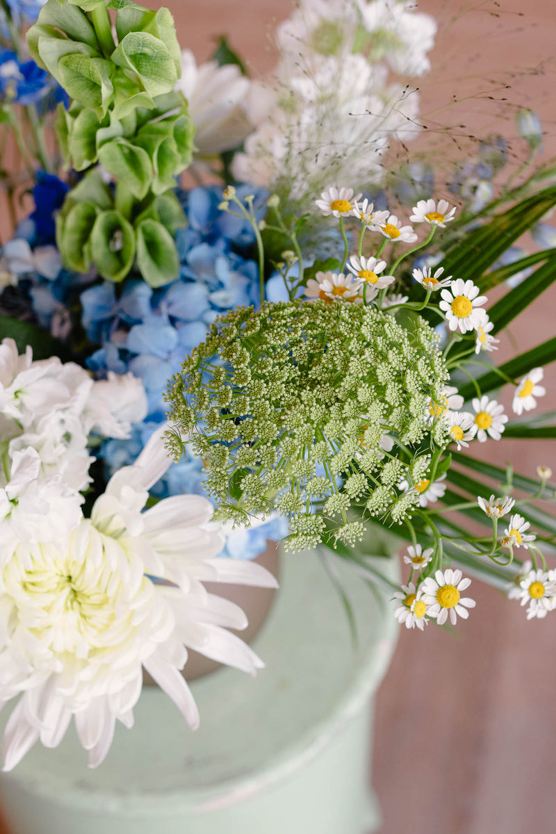 Arrangement of the Month (August)