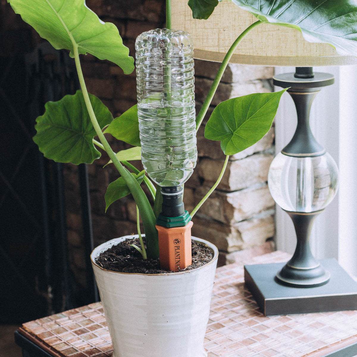 Plastic Bottle Stake