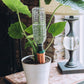 Plastic Bottle Stake
