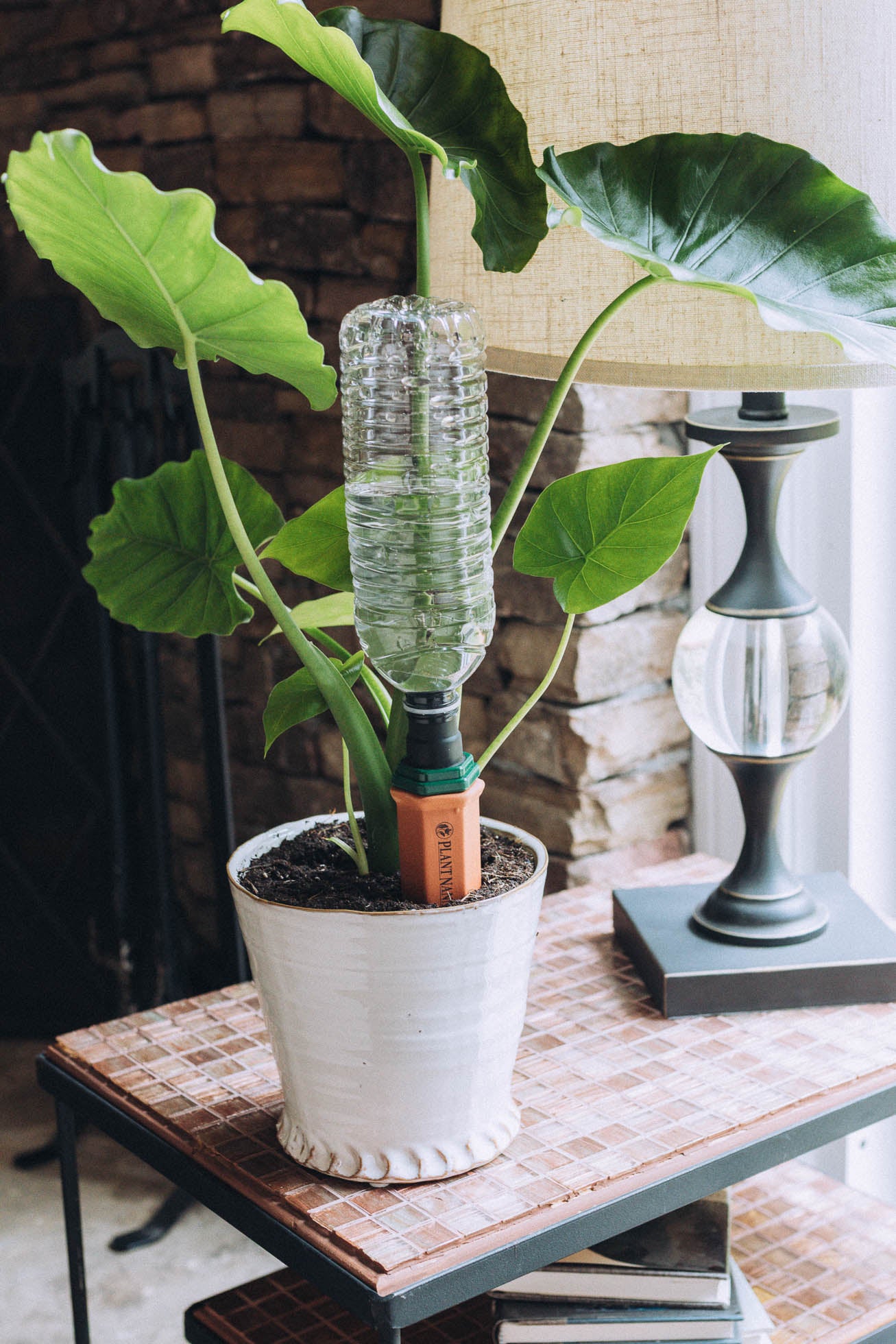 Plastic Bottle Stake