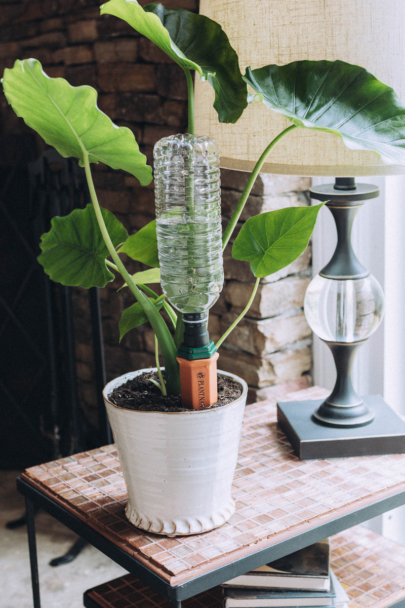 Plastic Bottle Stake