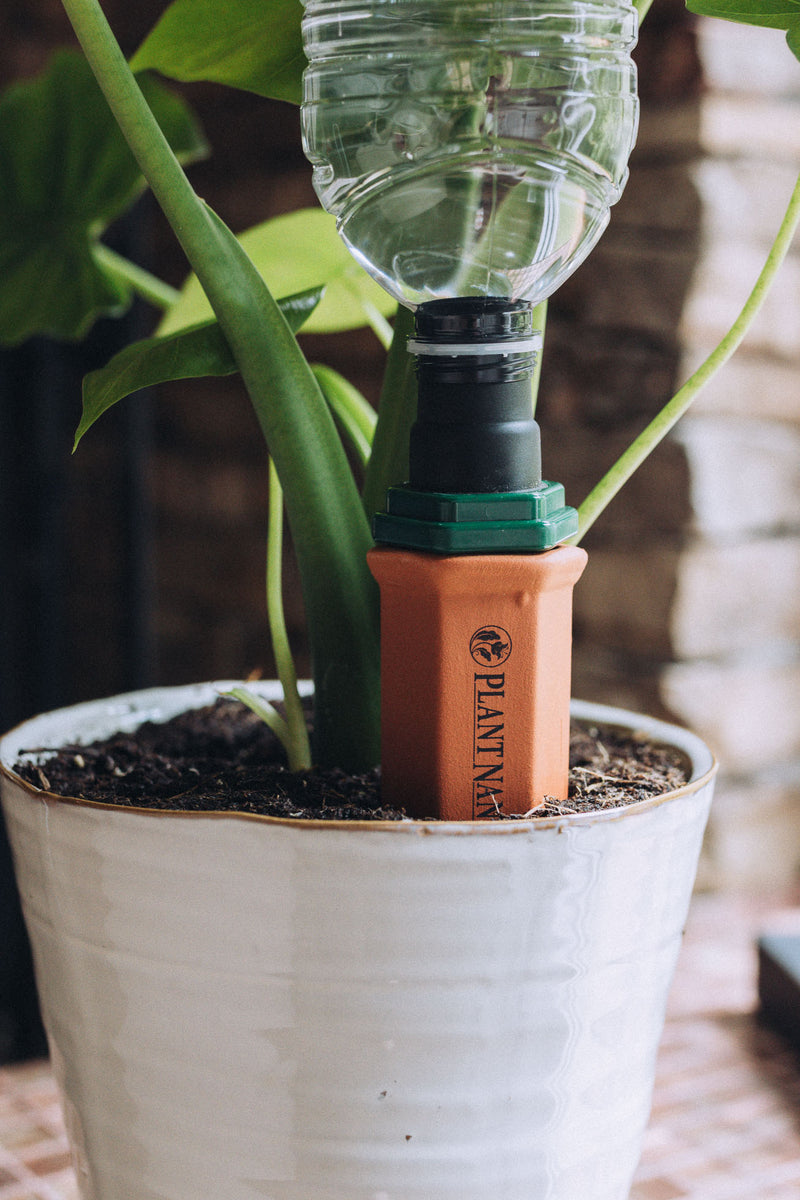 Plastic Bottle Stake