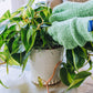 Microfiber Green Dusting Gloves