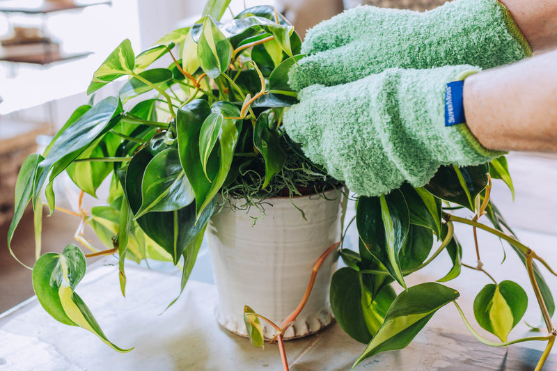 Microfiber Green Dusting Gloves
