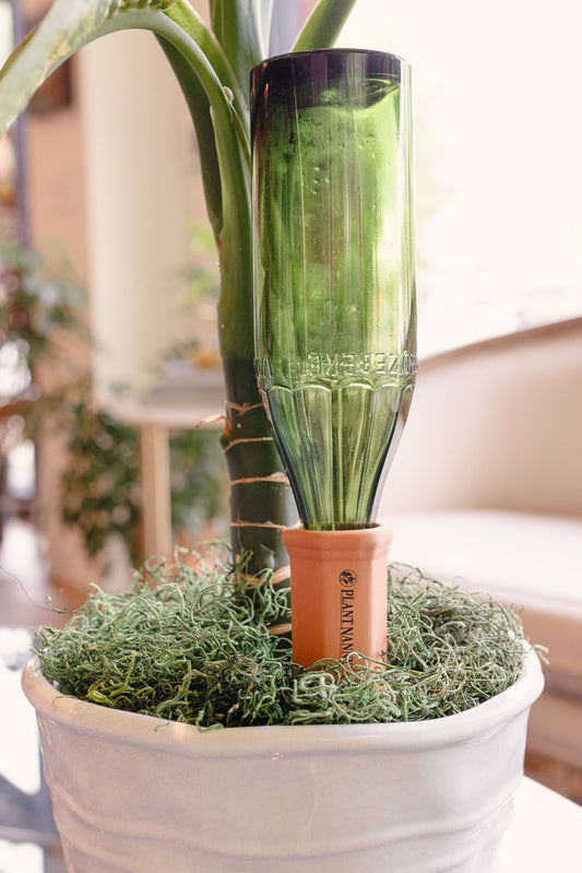 Wine Bottle Stake