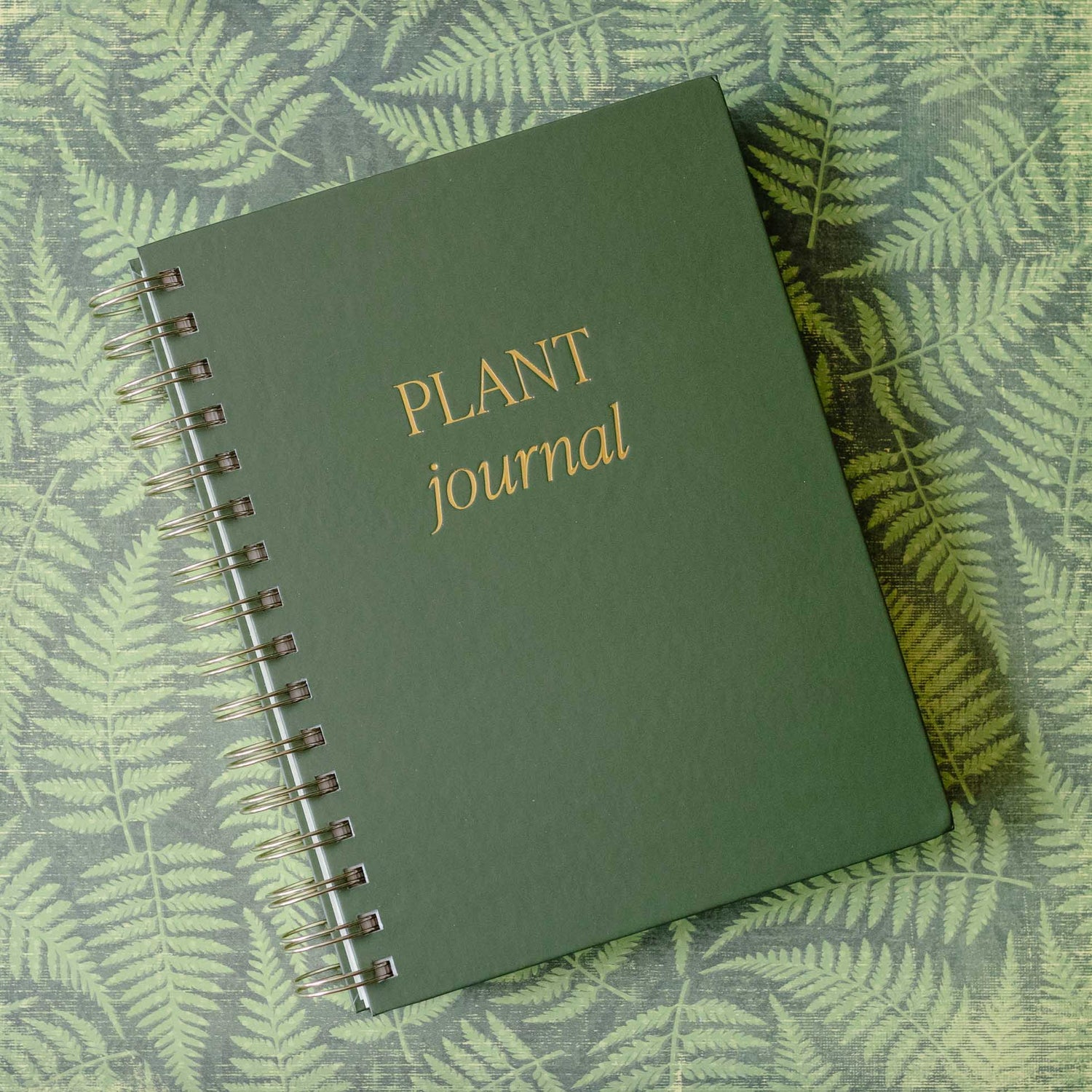 Journal | Indoor/Outdoor Plants