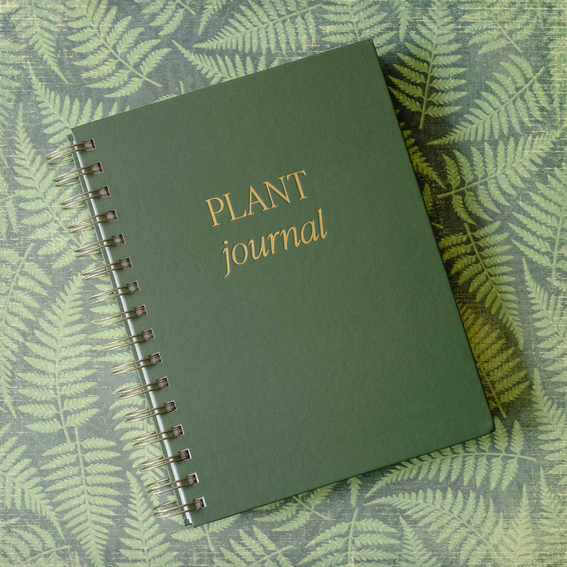 Journal | Indoor/Outdoor Plants