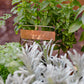 Copper Plant Label