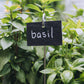 Plant Marker on Stick