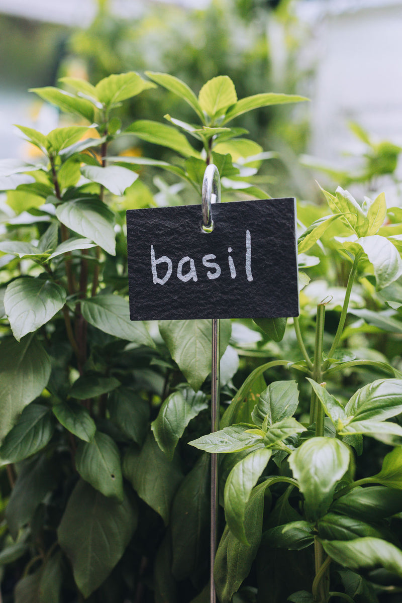 Plant Marker on Stick
