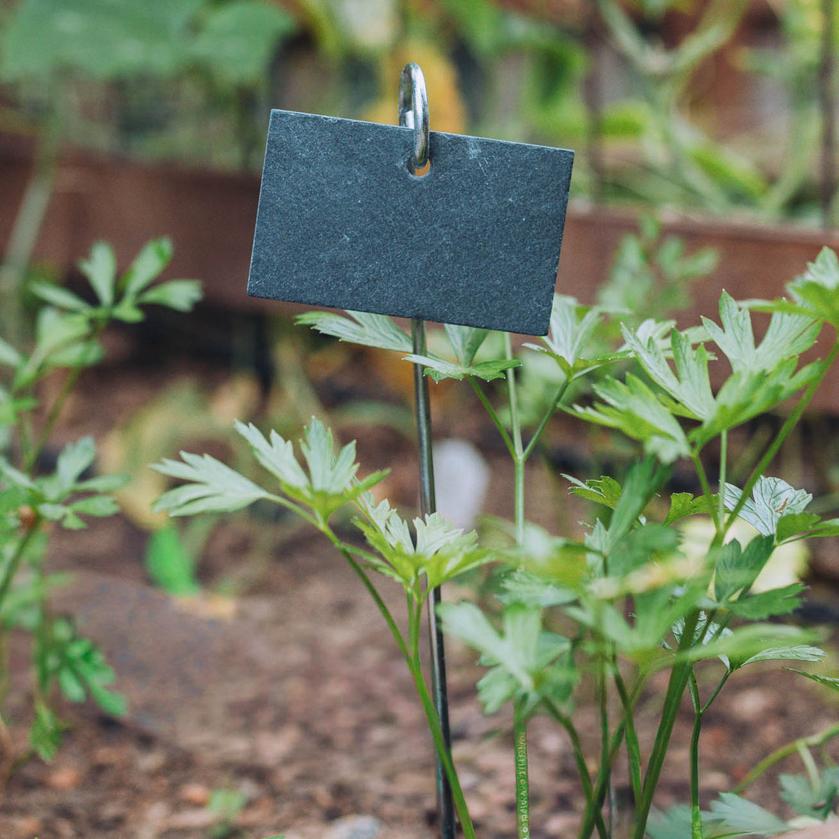 Plant Marker on Stick