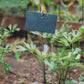 Plant Marker on Stick