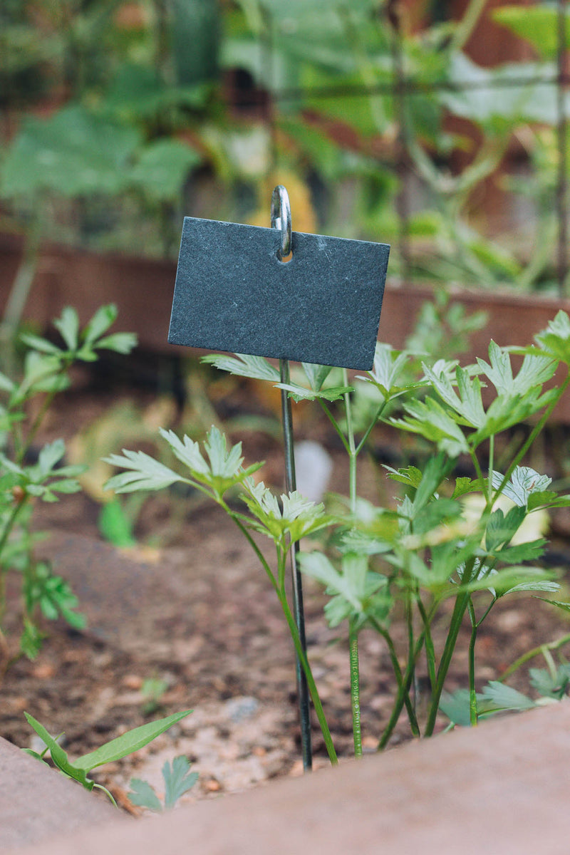 Plant Marker on Stick