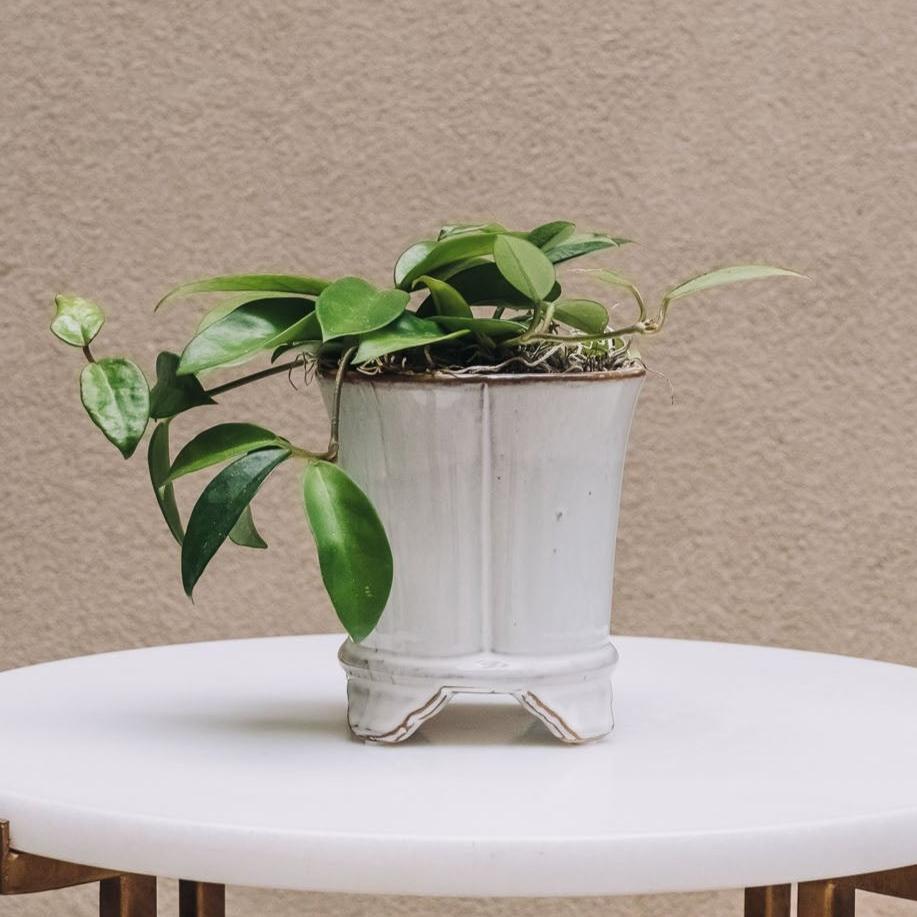 indoor footed planter Imogen Footed Pot