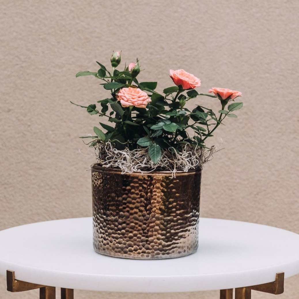 Bronze hammered cylinder pot with coral garden roses and green foliage, textured metallic glaze finish.